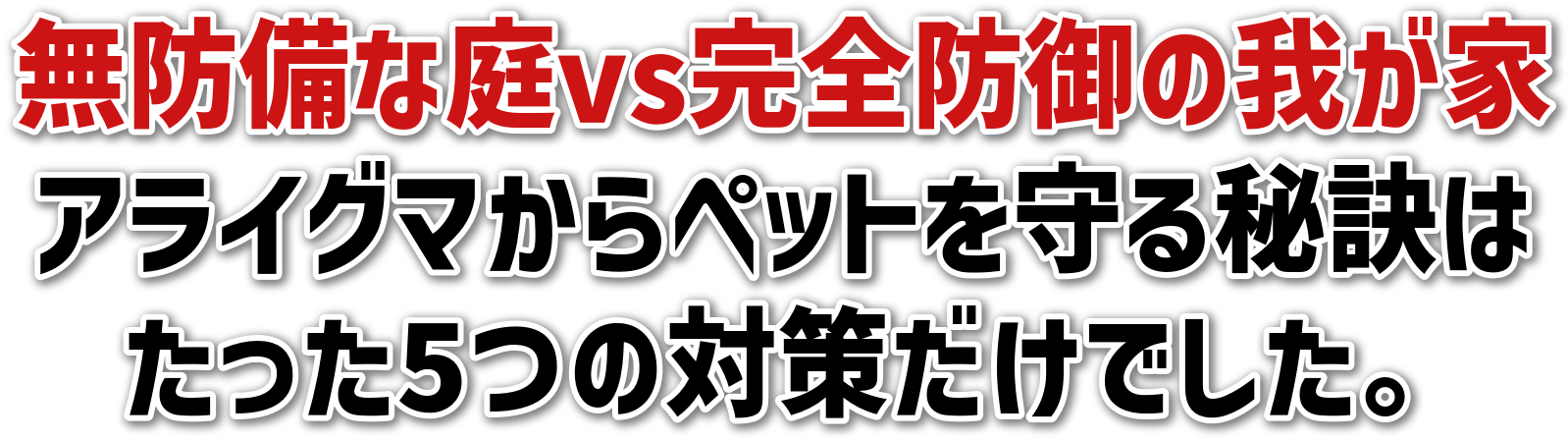 hȒvsSh̉䂪ƃACO}ybg錍͂5̑΍􂾂łB