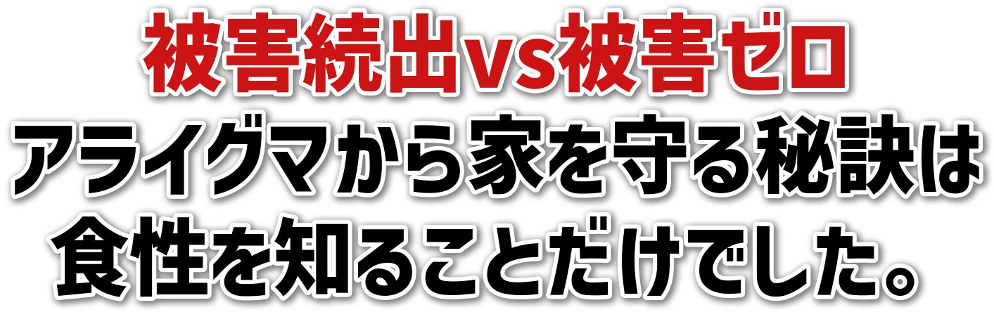 QovsQ[ACO}Ƃ錍͐Hm邱ƂłB