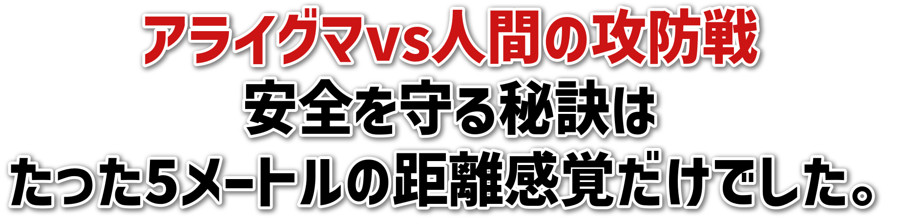 ACO}vslԂ̍UhS錍͂5[g̋ołB